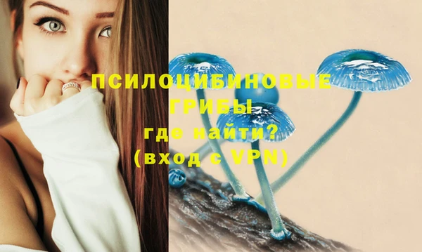 МДПВ Алзамай